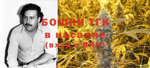 ECSTASY Строитель