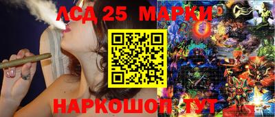 хмурый Камышлов