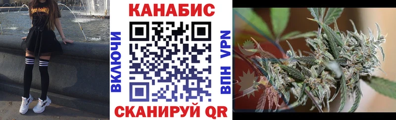 Бошки Шишки план Назарово